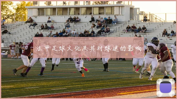 法甲足球文化及其对球迷的影响
