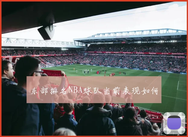 东部排名NBA球队当前表现如何