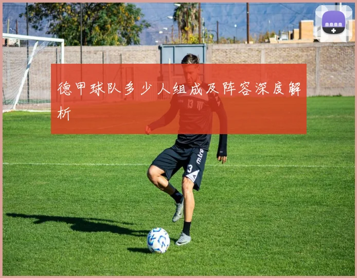 德甲球队多少人组成及阵容深度解析