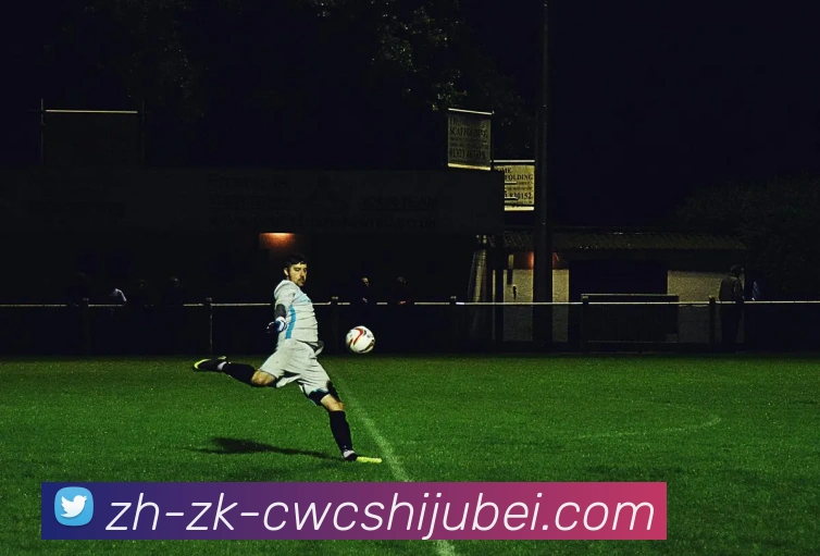 世界杯买球平台生态图