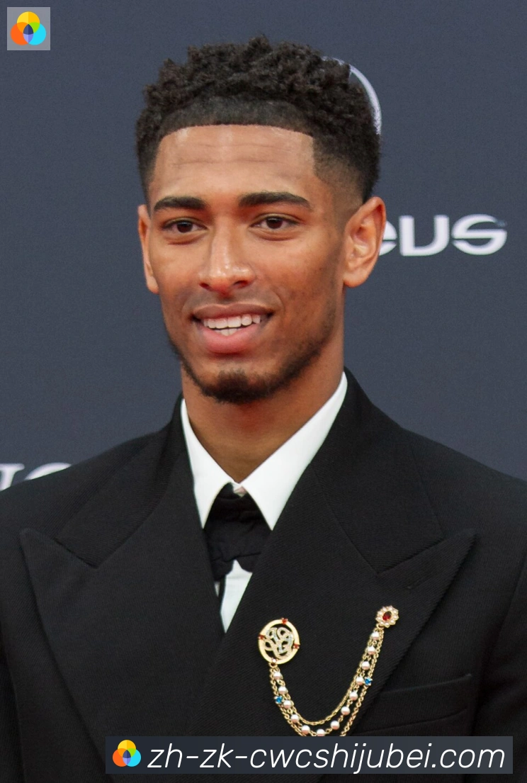 维尼修斯